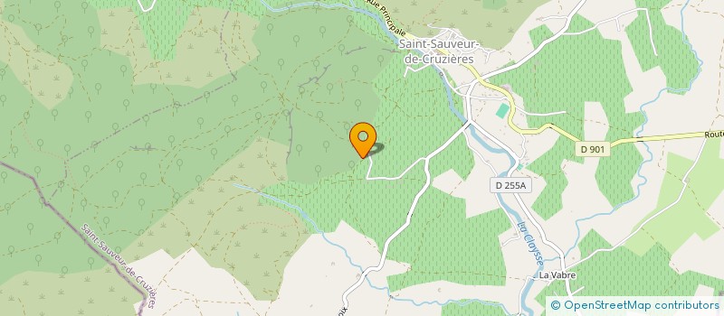 localisation de l'entreprise MADAME PASCALE JOYE  SAINT-SAUVEUR-DE-CRUZIERES