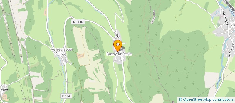localisation de l'entreprise MADAME PASCALE LAFAILLE  BUSSY-LA-PESLE