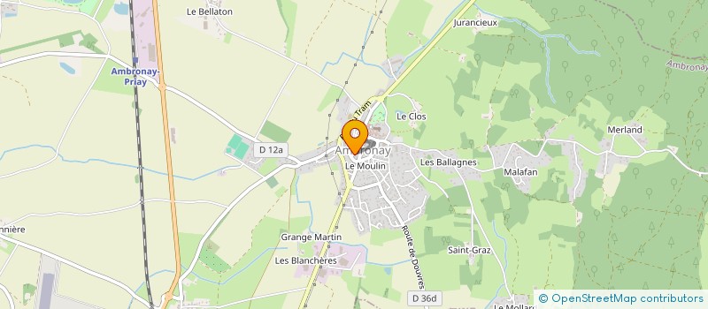localisation de l'entreprise MADAME PASCALE LALLEMANT  AMBRONAY