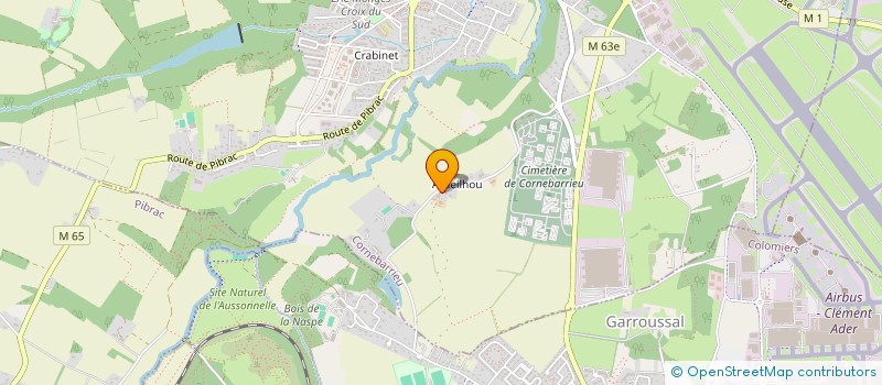 localisation de l'entreprise MADAME PASCALE LARRUE  CORNEBARRIEU