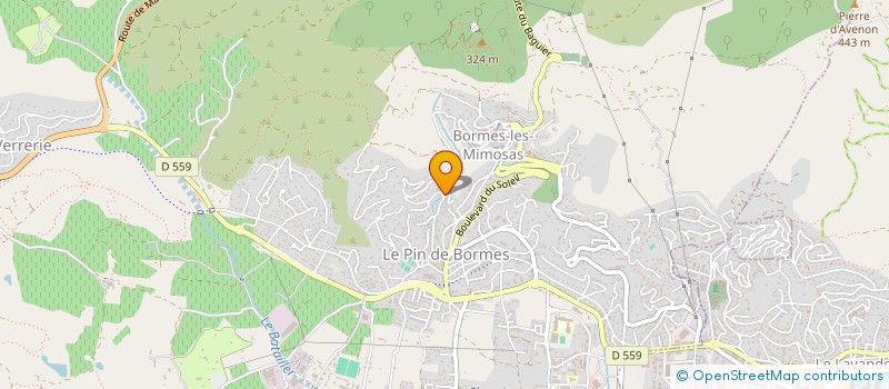 localisation de l'entreprise MADAME PASCALE MONGOURDIN à BORMES-LES-MIMOSAS