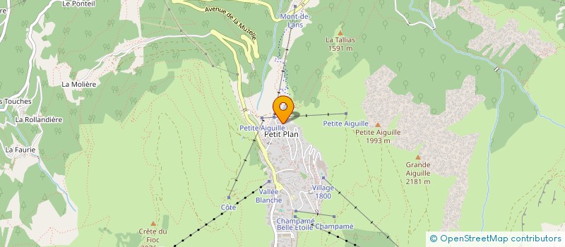 localisation de l'entreprise MADAME PASCALE OIZAN-CHAPON  LES DEUX ALPES