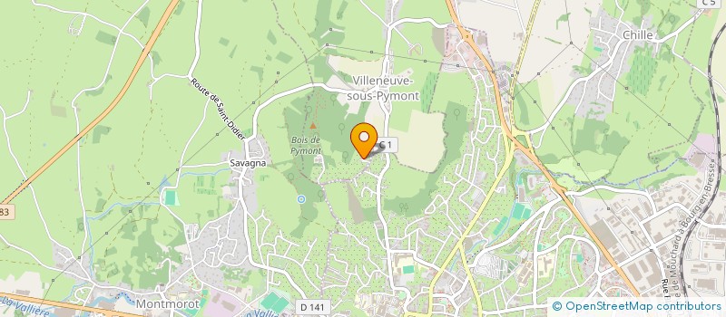 localisation de l'entreprise MADAME PASCALE OUDET  VILLENEUVE-SOUS-PYMONT
