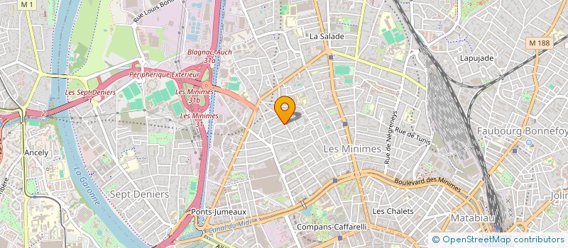 localisation de l'entreprise MADAME PASCALE ROSSARD à TOULOUSE
