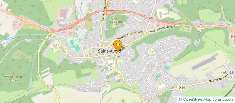 localisation de l'entreprise MADAME PASCALE ROTH  SAINT-AVOLD