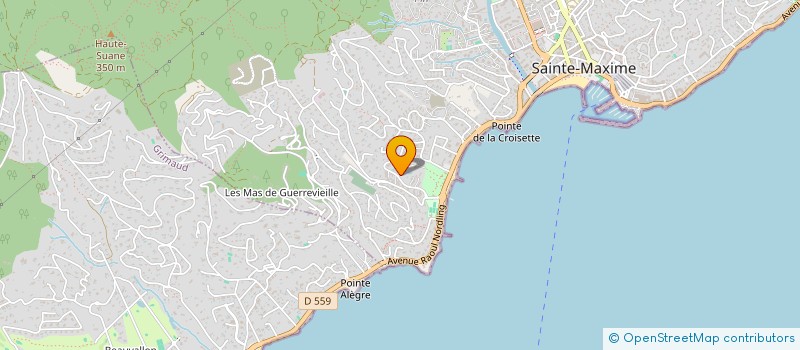 localisation de l'entreprise MADAME PASCALE RUAUX à SAINTE-MAXIME