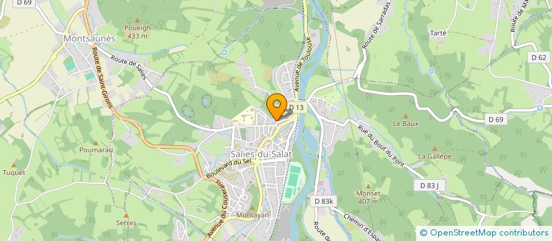 localisation de l'entreprise MADAME PASCALE SALVADOR  SALIES-DU-SALAT