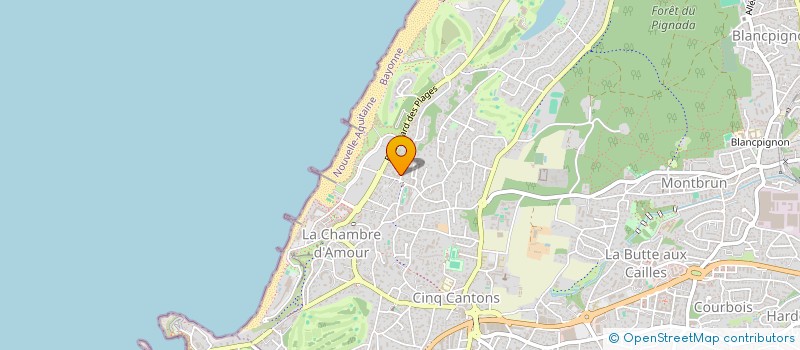 localisation de l'entreprise MADAME PASCALE SANTOS à ANGLET