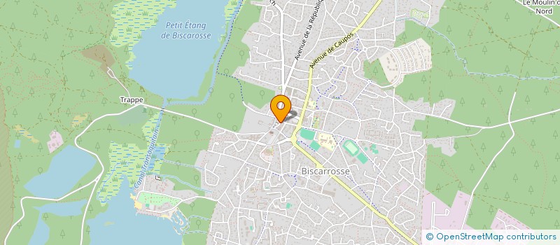 localisation de l'entreprise MADAME PASCALE SEREIN  BISCARROSSE