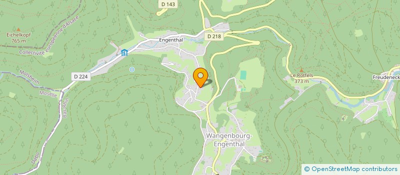 localisation de l'entreprise MADAME PASCALE VIDAL  WANGENBOURG-ENGENTHAL