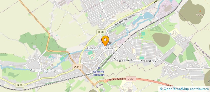 localisation de l'entreprise MADAME PASCALINE DELALEAU  CALONNE-RICOUART