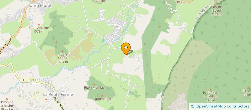 localisation de l'entreprise MADAME PASCALINE PITOU  LE TAMPON