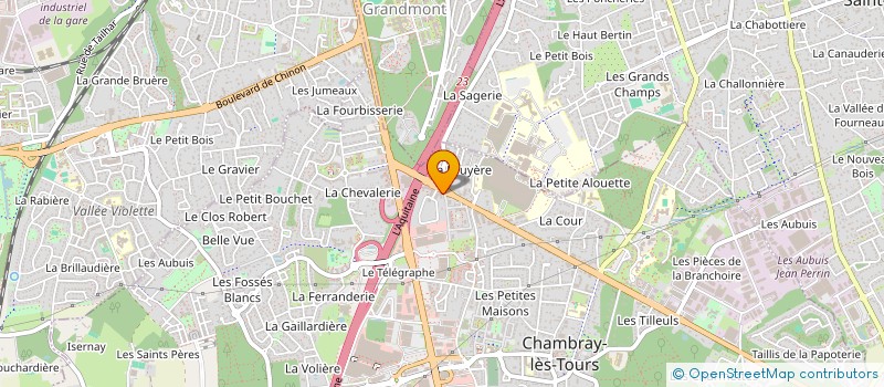 localisation de l'entreprise MADAME PATRICIA ANGELY  CHAMBRAY-LES-TOURS