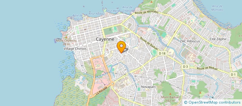 localisation de l'entreprise MADAME PATRICIA ATAM-KASSIGADOU  CAYENNE