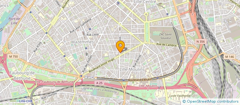 localisation de l'entreprise MADAME PATRICIA BAKARY à LILLE