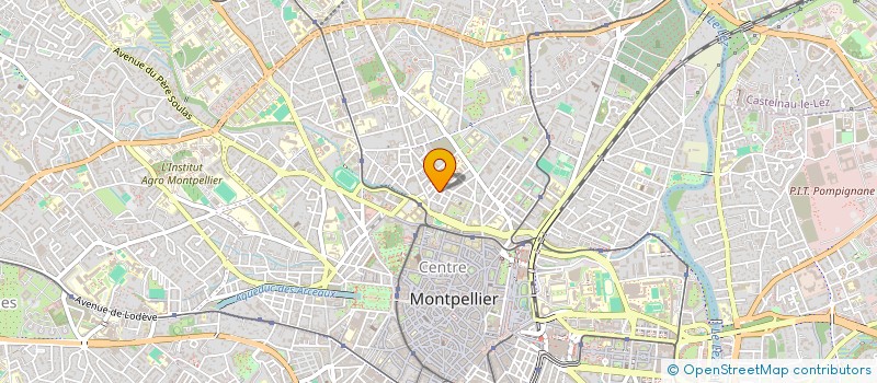 localisation de l'entreprise MADAME PATRICIA BRANACH  MONTPELLIER