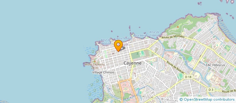 localisation de l'entreprise MADAME PATRICIA BUNTING  CAYENNE