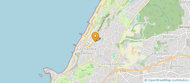 localisation de l'entreprise MADAME PATRICIA BURAYE FILIPETS  ANGLET