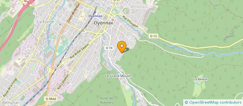 localisation de l'entreprise MADAME PATRICIA CALLAMAND à OYONNAX