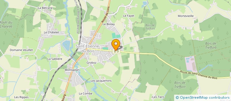 localisation de l'entreprise MADAME PATRICIA CHAVEL  SAINT-ETIENNE-DU-BOIS