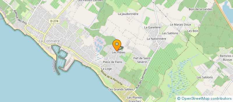 localisation de l'entreprise MADAME PATRICIA DELANOUE  SAINT-PIERRE-D'OLERON