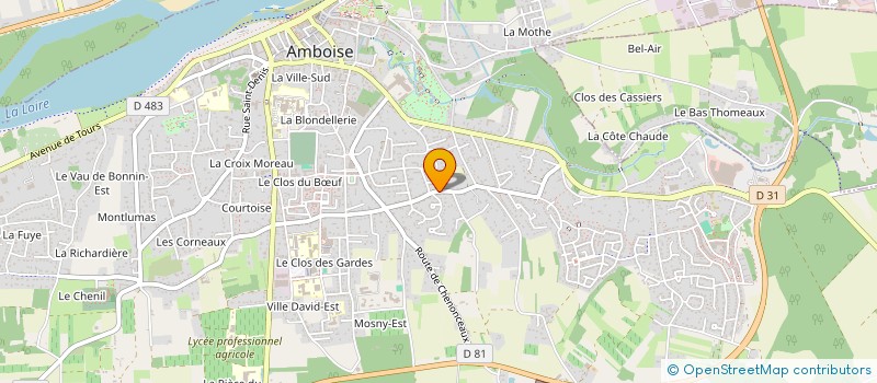 localisation de l'entreprise MADAME PATRICIA DELGADO REINA  AMBOISE