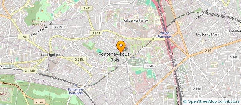 localisation de l'entreprise MADAME PATRICIA DEVEZAND à FONTENAY-SOUS-BOIS