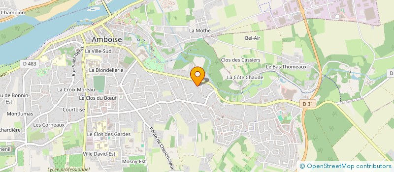 localisation de l'entreprise MADAME PATRICIA DISEUR  AMBOISE