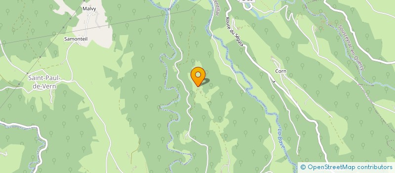 localisation de l'entreprise MADAME PATRICIA DUCHEMIN  SAINT-LAURENT-LES-TOURS