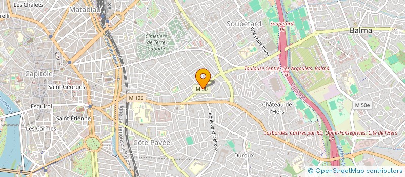 localisation de l'entreprise MADAME PATRICIA DUHAYON à TOULOUSE