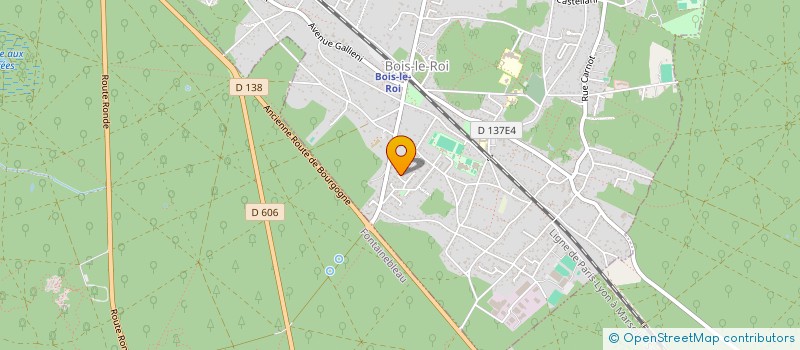 localisation de l'entreprise MADAME PATRICIA ELLEN DEEGAN à BOIS-LE-ROI