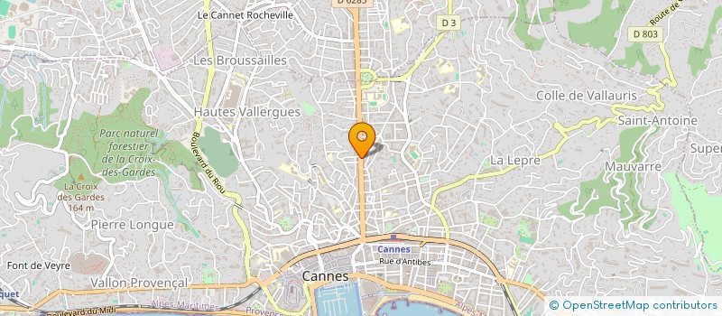 localisation de l'entreprise MADAME PATRICIA FALZON à CANNES