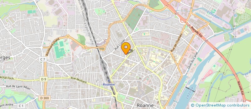 localisation de l'entreprise MADAME PATRICIA FERNANDES  ROANNE