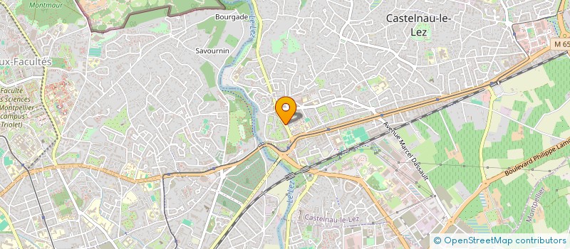 localisation de l'entreprise MADAME PATRICIA GABA  CASTELNAU-LE-LEZ