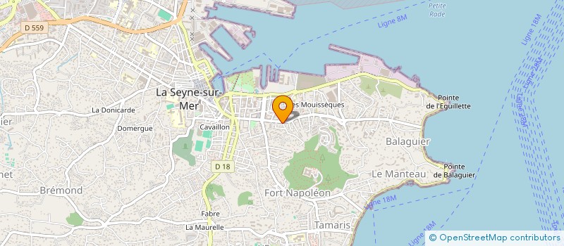 localisation de l'entreprise MADAME PATRICIA GODOC à LA SEYNE-SUR-MER