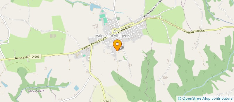 localisation de l'entreprise MADAME PATRICIA HOSPITALIER  VALENCE-D'ALBIGEOIS