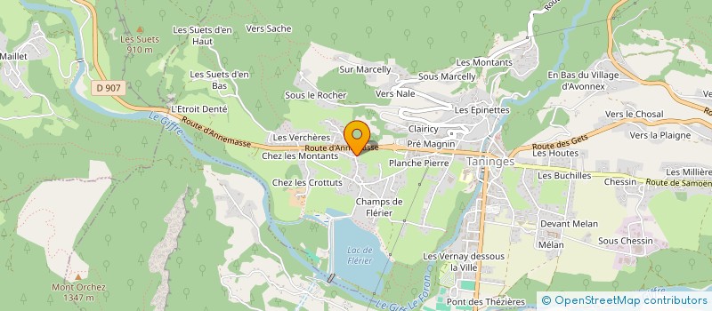 localisation de l'entreprise MADAME PATRICIA KAUFFMANN  TANINGES