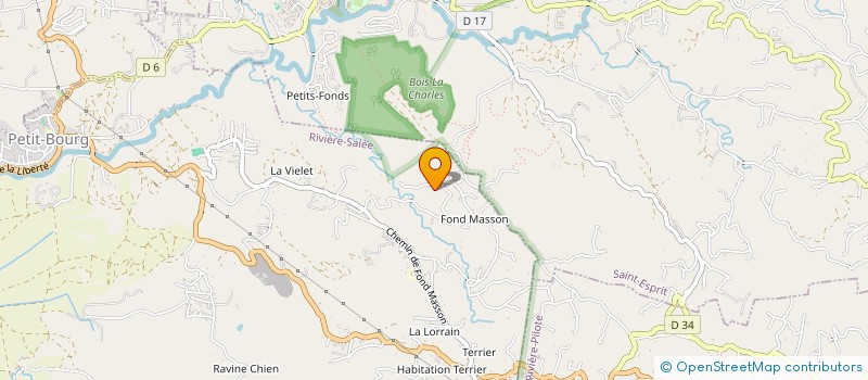 localisation de l'entreprise MADAME PATRICIA LAVIOLETTE à RIVIERE-SALEE