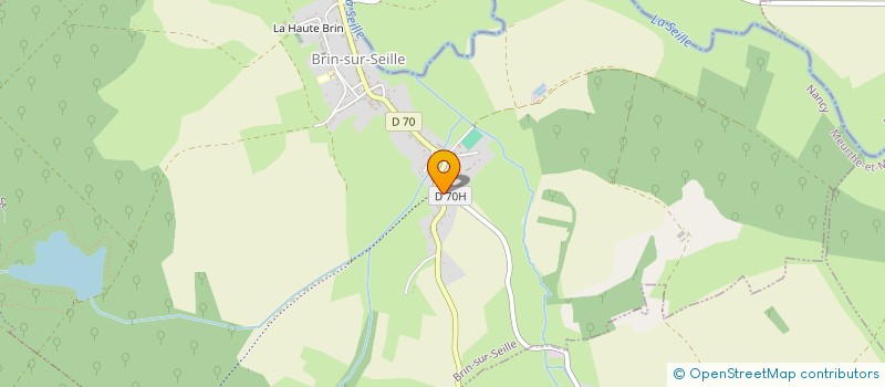 localisation de l'entreprise MADAME PATRICIA LELONGE  BRIN-SUR-SEILLE