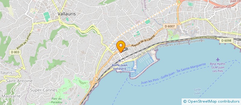 localisation de l'entreprise MADAME PATRICIA MALISSART  VALLAURIS