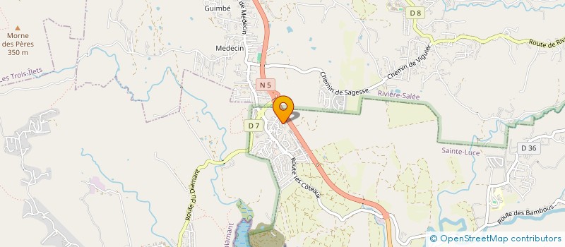 localisation de l'entreprise MADAME PATRICIA MARIE PASCALIN  SAINTE-LUCE