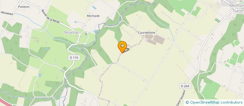 localisation de l'entreprise MADAME PATRICIA MARTIN  SAINT-SAUVEUR-DE-MEILHAN