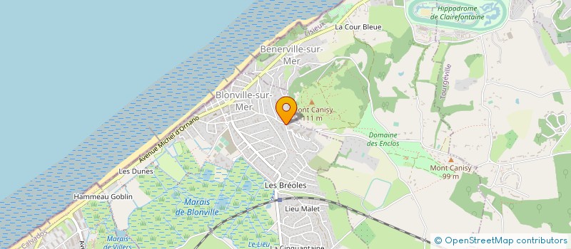 localisation de l'entreprise MADAME PATRICIA MARY  BLONVILLE-SUR-MER