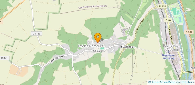 localisation de l'entreprise MADAME PATRICIA MBURU  FAY-LES-NEMOURS