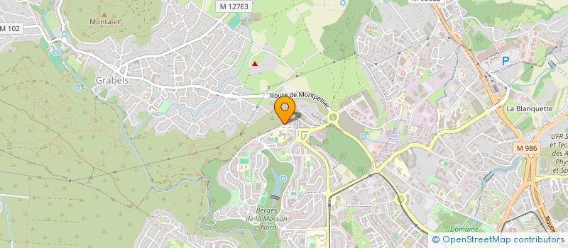 localisation de l'entreprise MADAME PATRICIA MESGUICH  MONTPELLIER