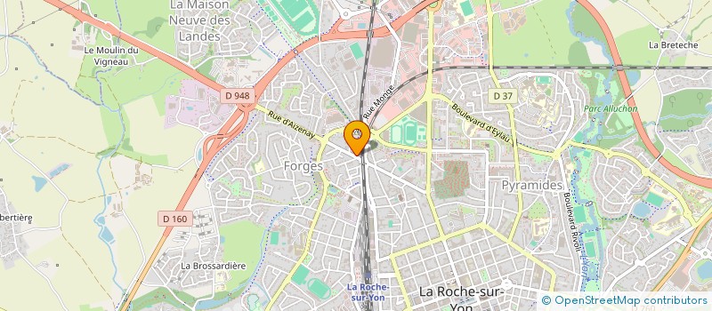 localisation de l'entreprise MADAME PATRICIA MIGNOT  LA ROCHE-SUR-YON