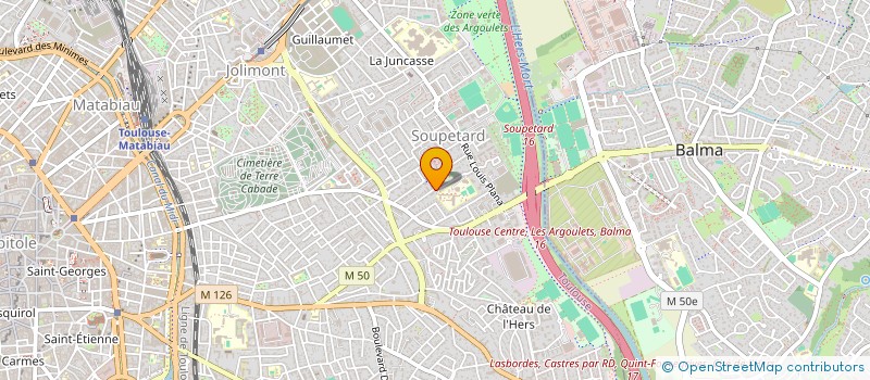 localisation de l'entreprise MADAME PATRICIA MLE à TOULOUSE