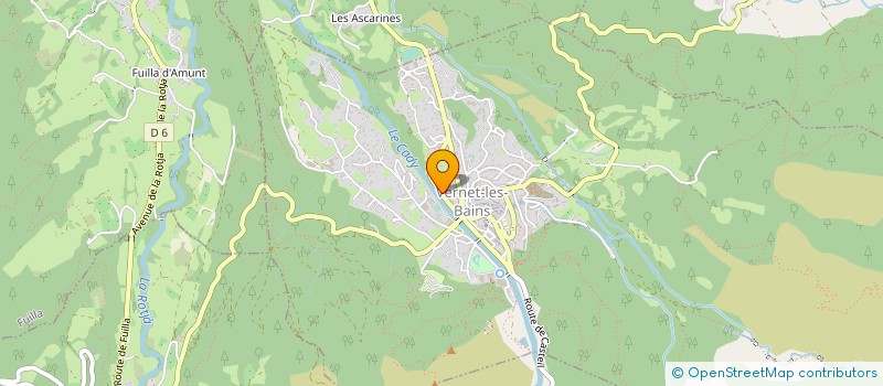 localisation de l'entreprise MADAME PATRICIA NOIRTAT  VERNET-LES-BAINS