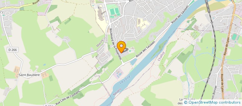 localisation de l'entreprise MADAME PATRICIA NOUVEL à NEVERS