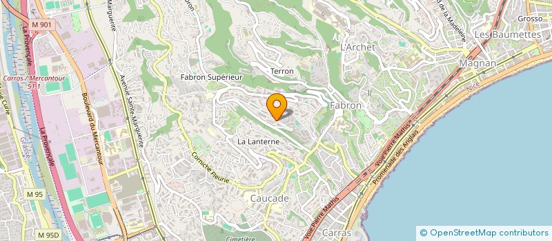 localisation de l'entreprise MADAME PATRICIA PERSON  NICE